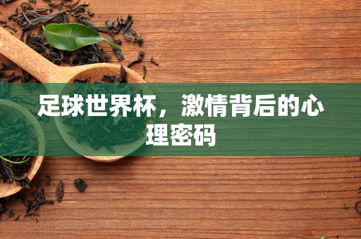 足球世界杯，激情背后的心理密码