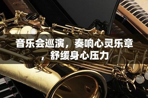 音乐会巡演，奏响心灵乐章，舒缓身心压力