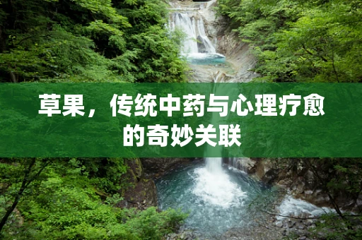 草果，传统中药与心理疗愈的奇妙关联